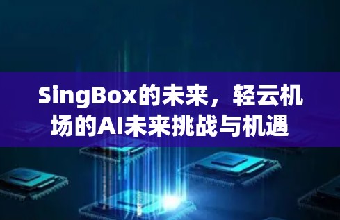 SingBox的未来，轻云机场的AI未来挑战与机遇