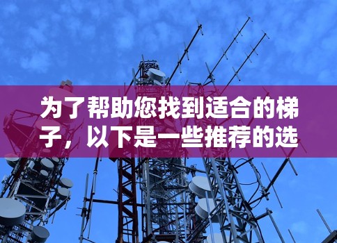 为了帮助您找到适合的梯子，以下是一些推荐的选项，涵盖多种需求和适用人群