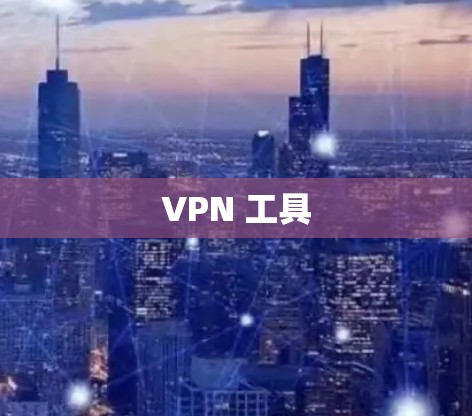 VPN 工具