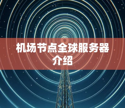 机场节点全球服务器介绍