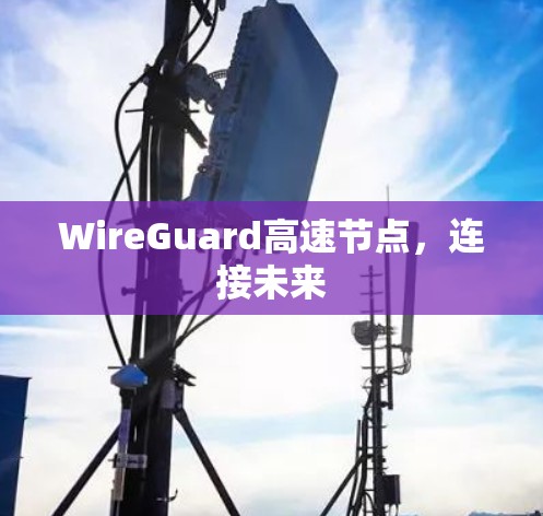 WireGuard高速节点，连接未来