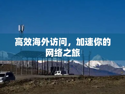 高效海外访问，加速你的网络之旅