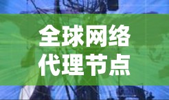 全球网络代理节点是一个非常广泛的网络管理概念，涉及多个子网、全球范围内的服务提供、数据中心、云网络等多种情况。以下是对全球网络代理节点的详细分类和总结