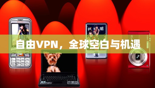 自由VPN，全球空白与机遇