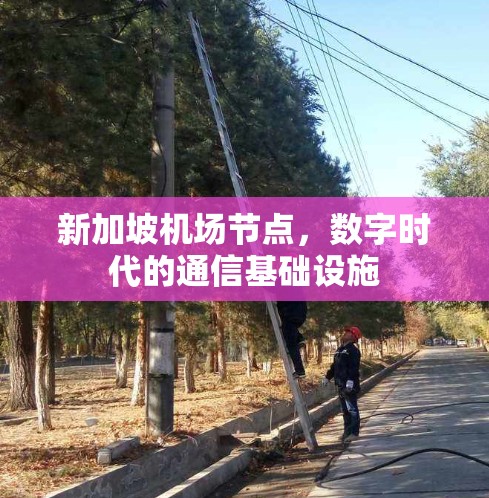 新加坡机场节点，数字时代的通信基础设施