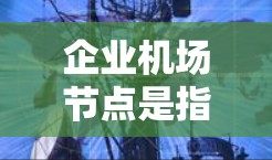 企业机场节点是指那些专门服务于企业的人流中心，通常靠近机场，帮助企业快速到达城市。以下是对企业机场节点的详细说明