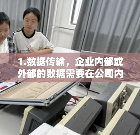1.数据传输，企业内部或外部的数据需要在公司内部传输，确保数据不受外部网络访问的威胁