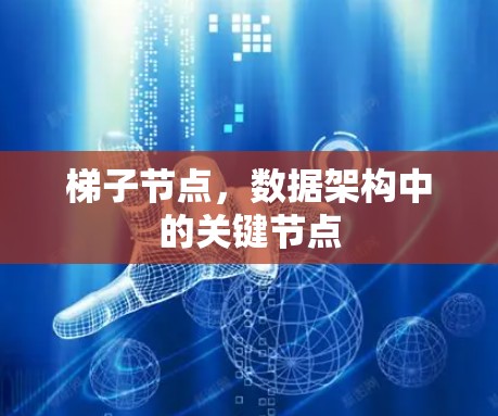 梯子节点，数据架构中的关键节点