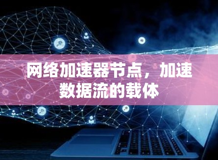 网络加速器节点，加速数据流的载体