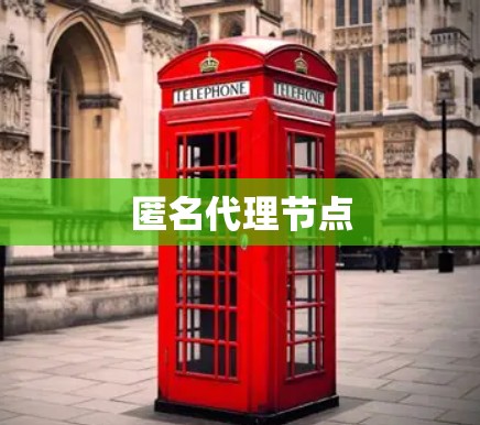 匿名代理节点