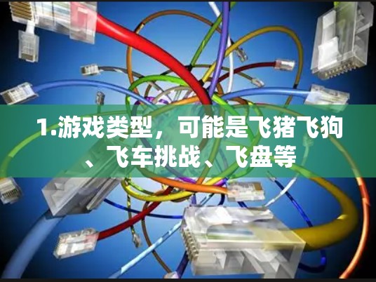 1.游戏类型，可能是飞猪飞狗、飞车挑战、飞盘等