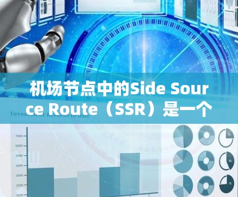 机场节点中的Side Source Route（SSR）是一个重要的服务网络，用于为机场用户提供各种服务。以下是关于SSR的详细解释
