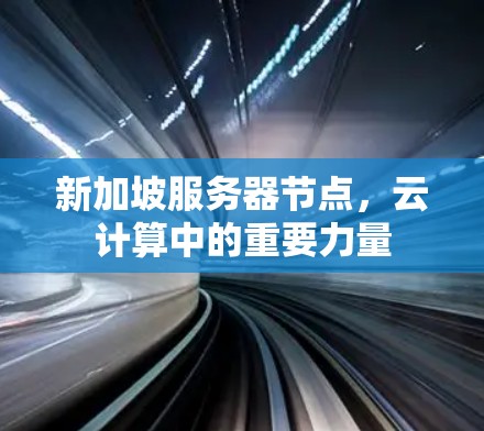 新加坡服务器节点，云计算中的重要力量