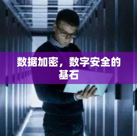 数据加密，数字安全的基石