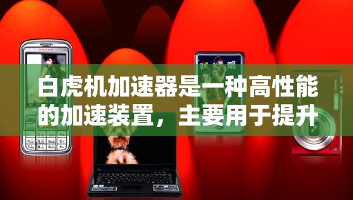 白虎机加速器是一种高性能的加速装置，主要用于提升速度、提高效率或实现特定的加速目标。它可能在飞行、导航、航天等领域中应用，提供高效的动力驱动加速功能