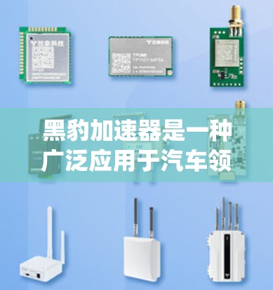 黑豹加速器是一种广泛应用于汽车领域的自动变速器，它通过传感器和计算系统实时调整车速和加速度，从而优化驾驶体验和燃油经济性。以下是关于黑豹加速器的详细解释