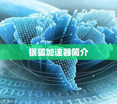 银狐加速器简介