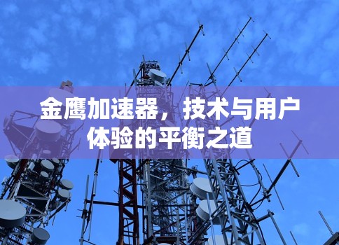 金鹰加速器，技术与用户体验的平衡之道