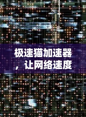 极速猫加速器，让网络速度飞快的必选工具