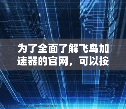为了全面了解飞鸟加速器的官网，可以按照以下步骤进行
