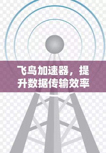 飞鸟加速器，提升数据传输效率的创新解决方案
