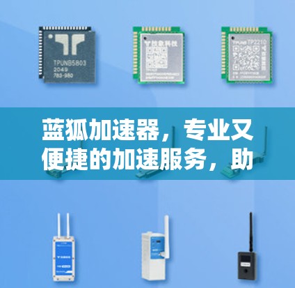 蓝狐加速器，专业又便捷的加速服务，助力您的数据高效流动