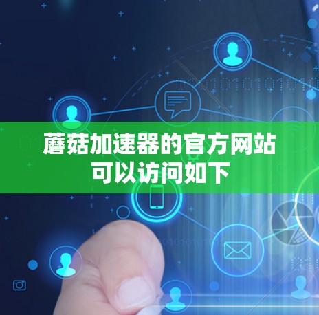 蘑菇加速器的官方网站可以访问如下