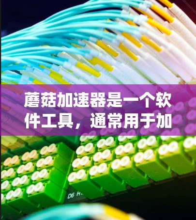 蘑菇加速器是一个软件工具，通常用于加速移动设备与网络之间的连接，以提高数据传输速度。如果你指的是特定的蘑菇加速器软件，那么它可能属于某个特定的应用场景，比如针对特定设备或系统的加速功能