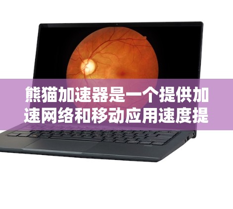 熊猫加速器是一个提供加速网络和移动应用速度提升的平台。以下是其主要的官方入口和操作指南