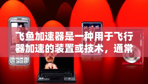 飞鱼加速器是一种用于飞行器加速的装置或技术，通常涉及能量转换和物理机制。它可能指的是用于火箭、飞机等飞行器在高空中加速的技术，或者是一个科幻作品中的飞行器加速器。以下是一些可能的解释和信息