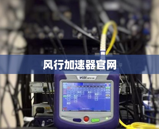 风行加速器官网