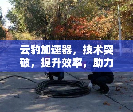 云豹加速器，技术突破，提升效率，助力数据安全与应用