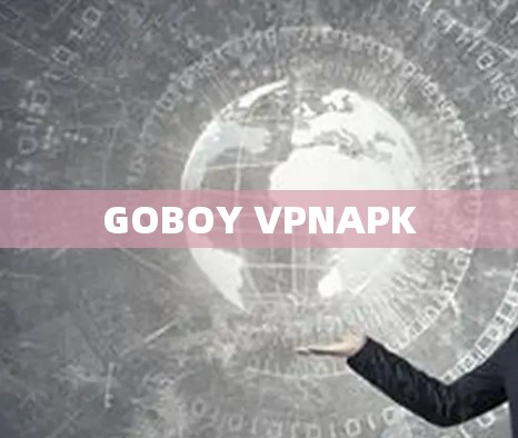 GOBOY VPNAPK
