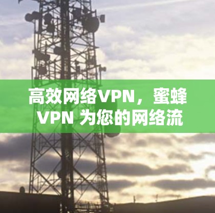 高效网络VPN，蜜蜂 VPN 为您的网络流量提供智能保护与便捷服务