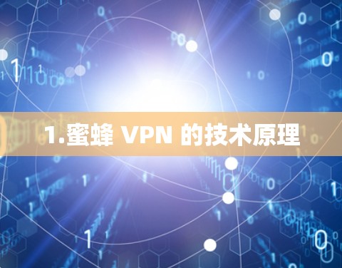 1.蜜蜂 VPN 的技术原理