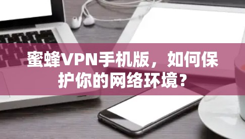 蜜蜂VPN手机版，如何保护你的网络环境？