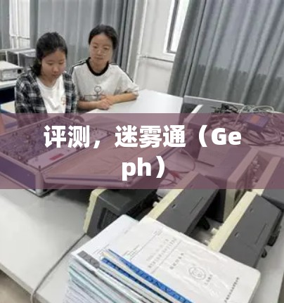 评测，迷雾通（Geph）