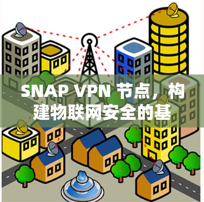 SNAP VPN 节点,构建物联网安全的基石