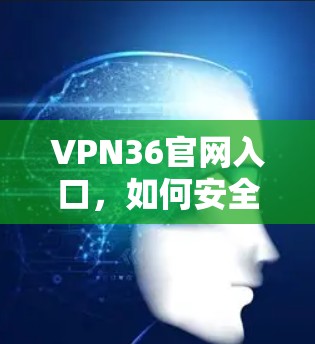 VPN36官网入口,如何安全使用 VPN36官网入口,如何安全使用