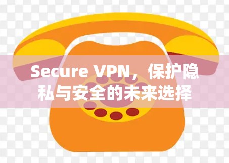 Secure VPN，保护隐私与安全的未来选择