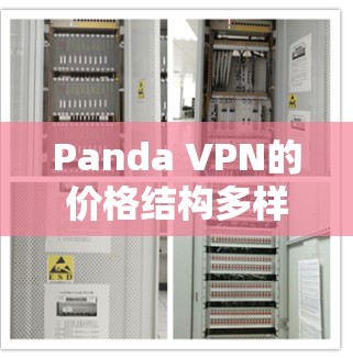 Panda VPN的价格结构多样,根据不同的使用场景和需求不同,价格可能会有所调整。以下是一些可能的费用结构