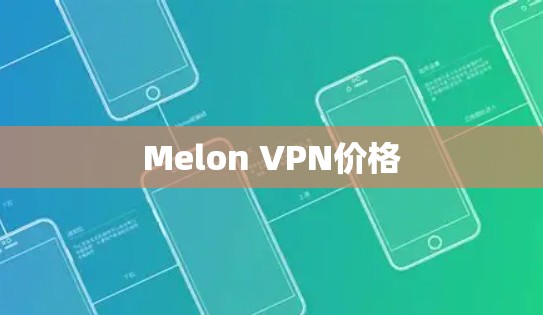 Melon VPN价格