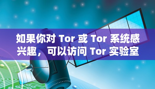 如果你对 Tor 或 Tor 系统感兴趣,可以访问 Tor 实验室,了解 Tor 如何工作以及 Tor 的历史和演变 如果你对 Tor 或 Tor 系统感兴趣,可以访问 Tor 实验室,了解 Tor 如何工作以及 Tor 的历史和演变