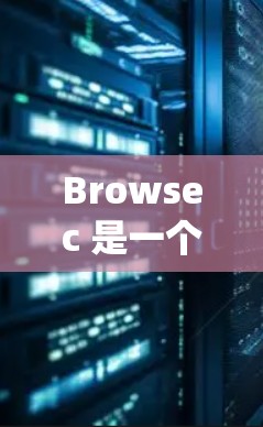 Browsec 是一个用于保护计算机系统和文件的安全软件,旨在检测和阻止恶意软件的传播。如果你想下载并安装 Browsec,以下是一些步骤和信息