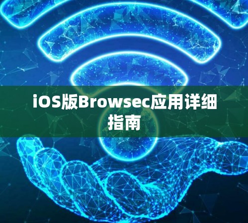 iOS版Browsec应用详细指南