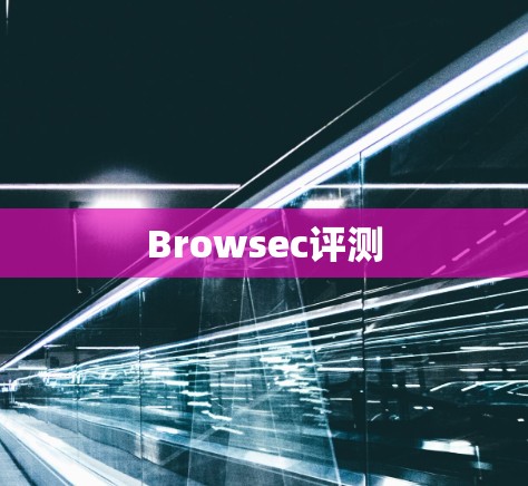 Browsec评测