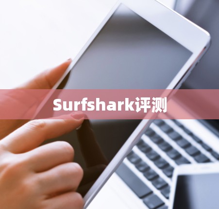Surfshark评测