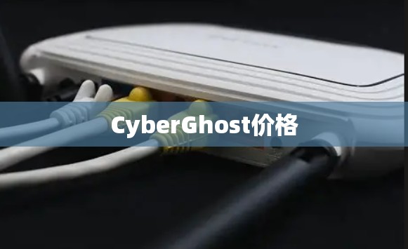 CyberGhost价格