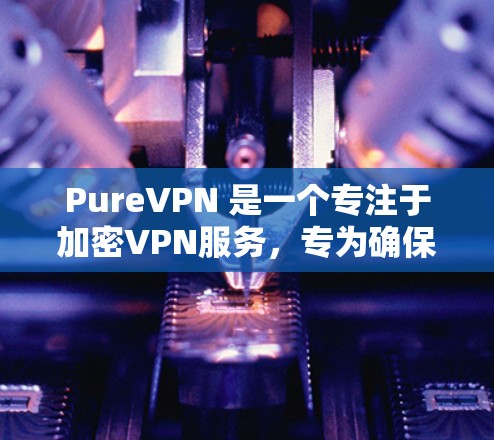 PureVPN 是一个专注于加密VPN服务，专为确保数据安全和隐私而设计的工具。如果你希望登录 PureVPN，你可以按照以下步骤操作