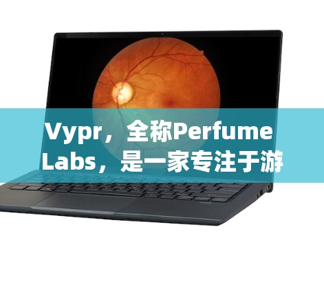 Vypr，全称Perfume Labs，是一家专注于游戏和视频内容的公司。在219年，Perfume Labs推出了Perfume VPN，一款专门用于处理游戏和视频内容的VPN软件